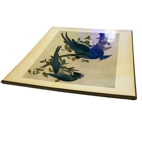 John James Audubon 1785-1851 Columbia Jay From The Birds of America Plate 96 - Picture 9 of 11